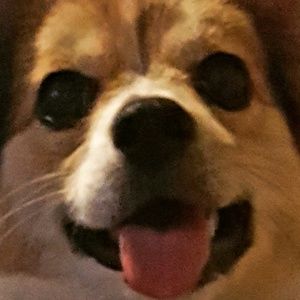 Meet your Posher, Scarlett