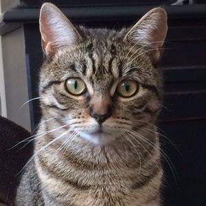 Meet your Posher, Caroline