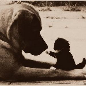 Meet your Posher, Victoria