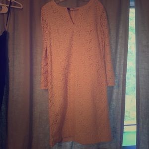 Cream Lace Cocktail Dress