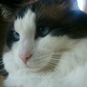 Meet your Posher, Stacia