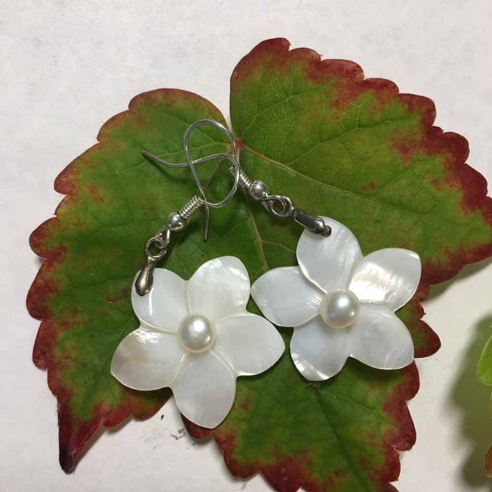 NWOT Genuine pearl & mother of pearl earrings