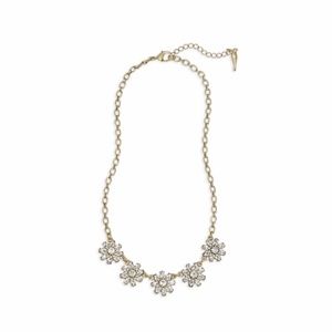 Chloe + Isabel Mirabelle Petite Collar Necklace