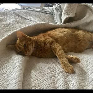 Meet your Posher, Merri