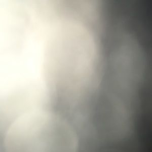 Meet your Posher, Logan