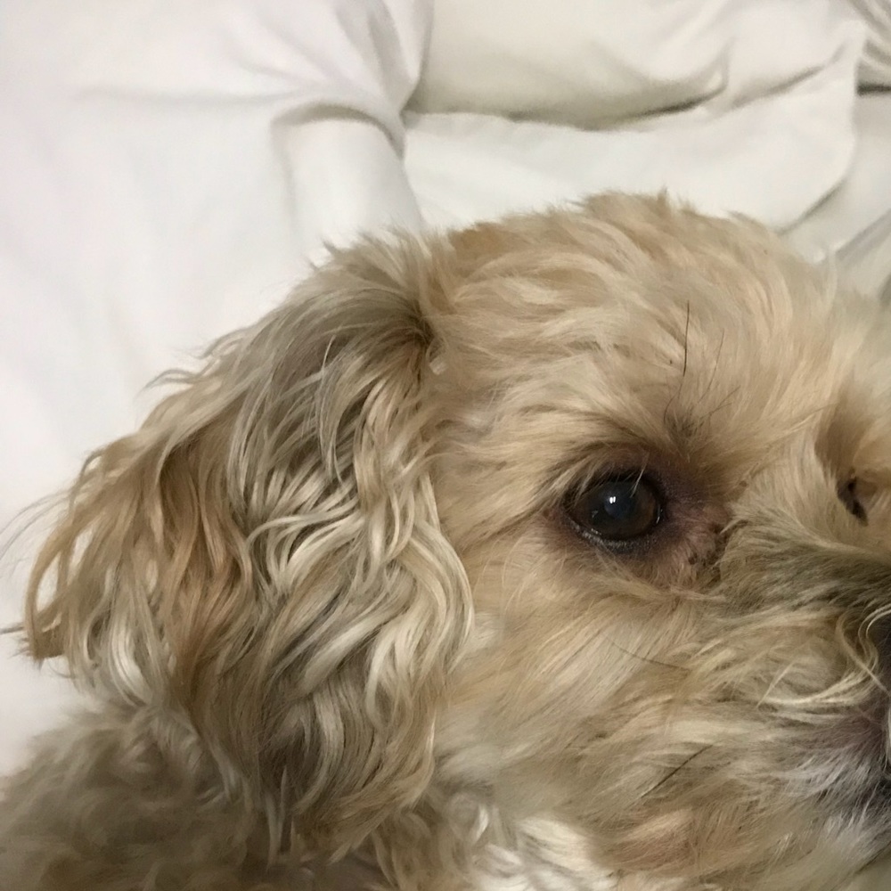 Meet your Posher, Margaret