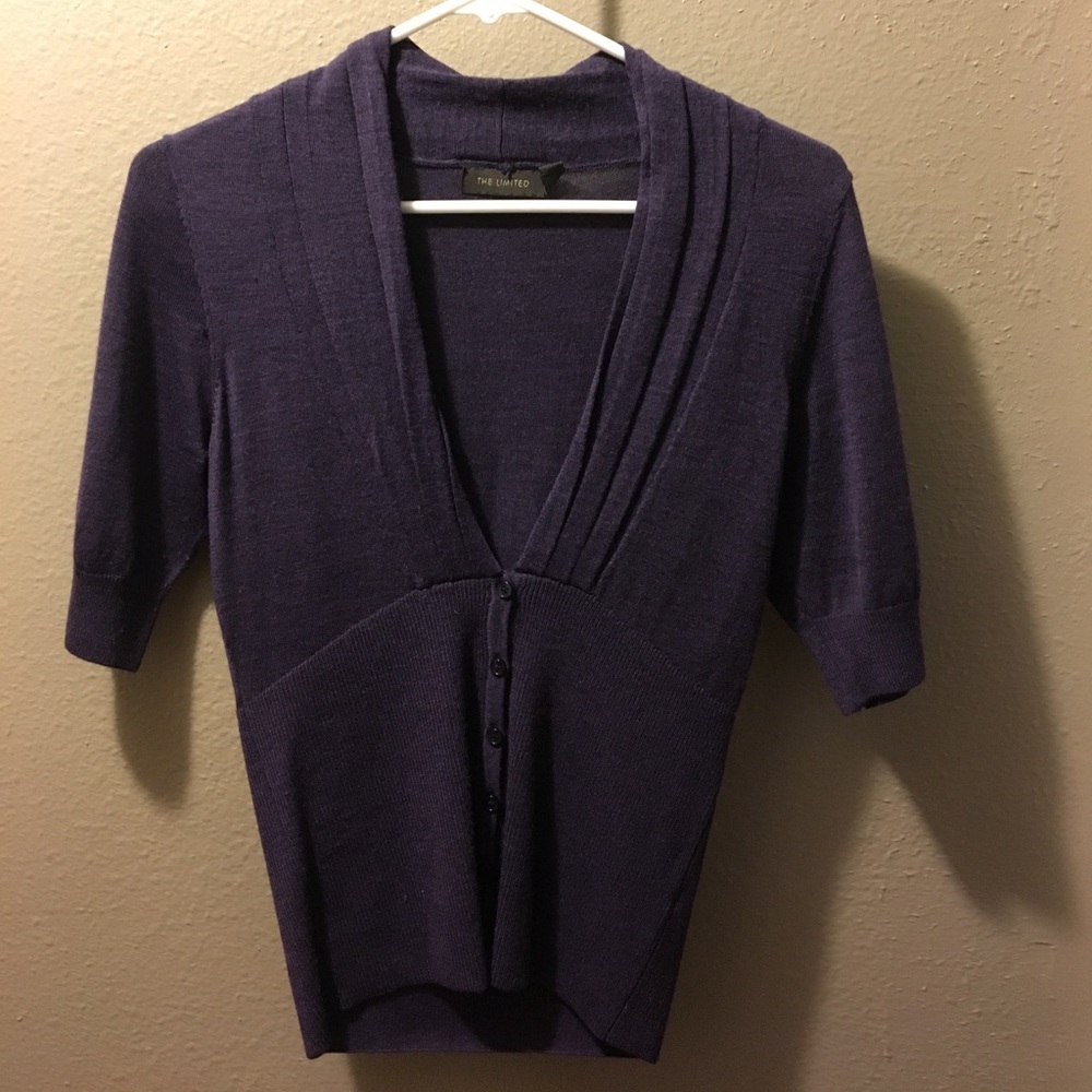 Purple sweater top from The Limited XS