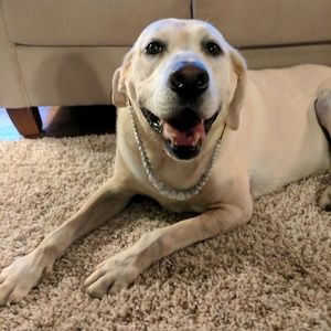 Meet your Posher, Kat