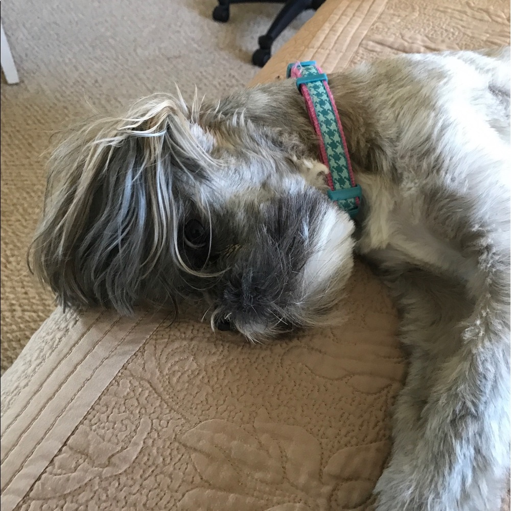 Meet your Posher, Brandi