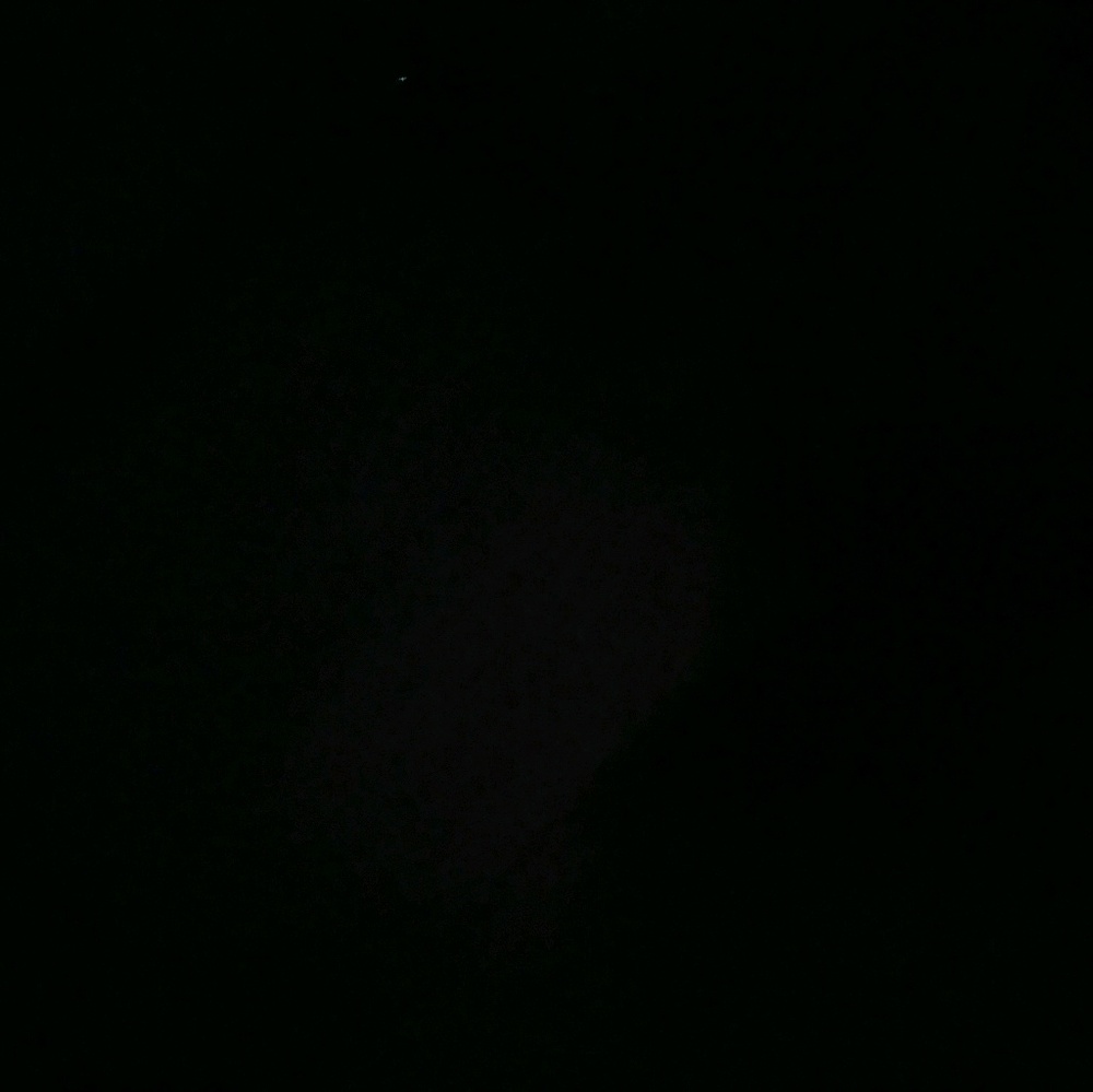 Meet your Posher, Bonnie