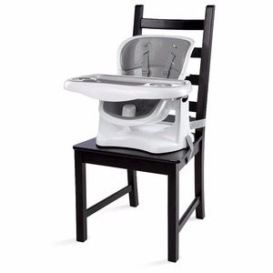 Ingenuity SmartClean ChairMate