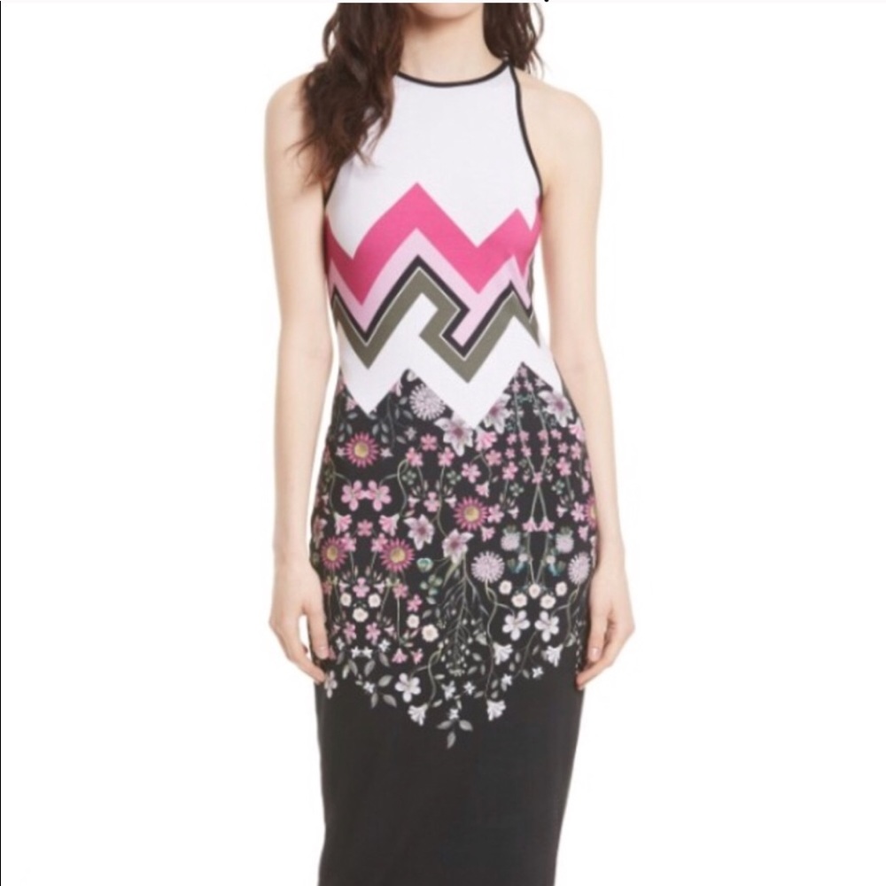 Ted Baker NWOT Dress Reduced Price!