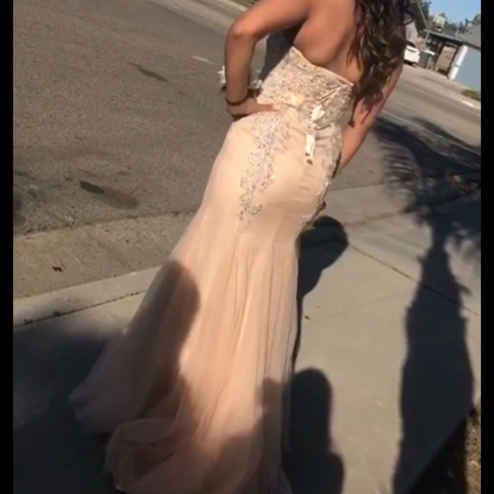 Blush Pink Mermaid Dress