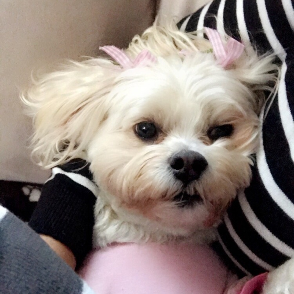 Meet your Posher, Silvana