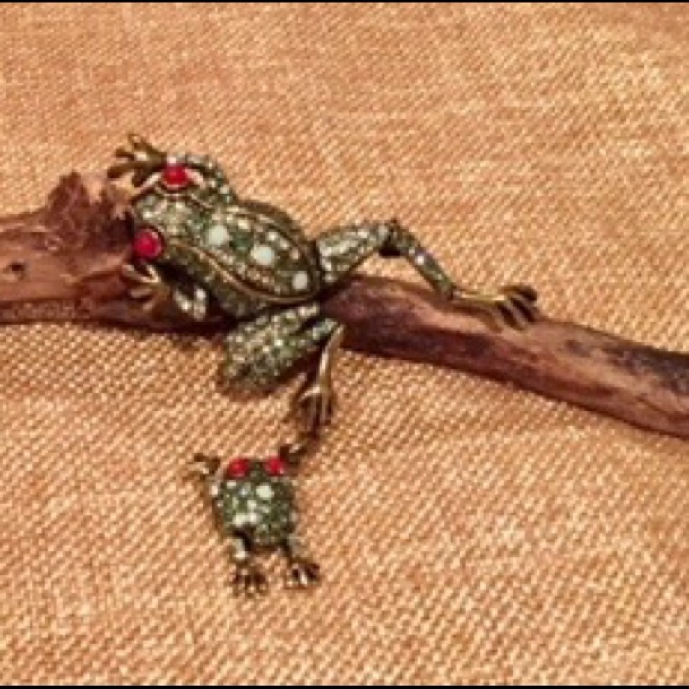 Heidi Daus Collectable Brooch Set