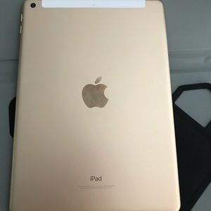 Apple pad big one