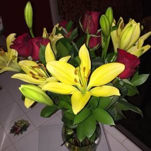 Meet your Posher, Jenny