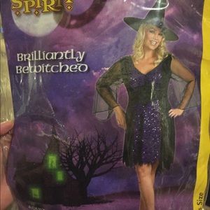 Plus Halloween Witch Costume