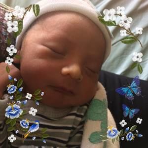 Meet your Posher, Lyn