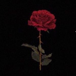 Meet your Posher, Sarahi