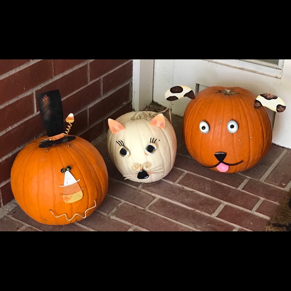 Meet your Posher, Wendy