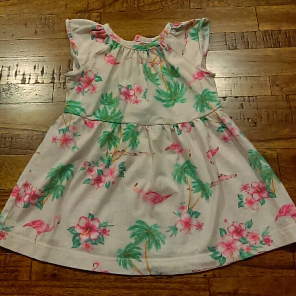 Carter's dress