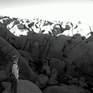 Meet your Posher, Wendy