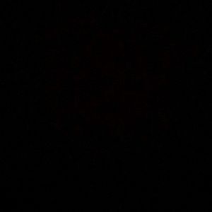 Meet your Posher, Areli