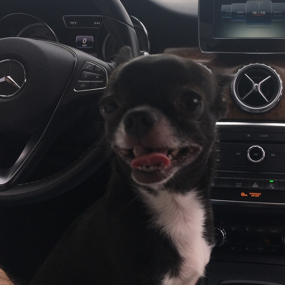 Meet your Posher, Pamela