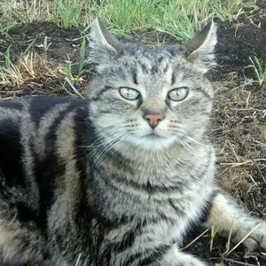 Meet your Posher, Ava