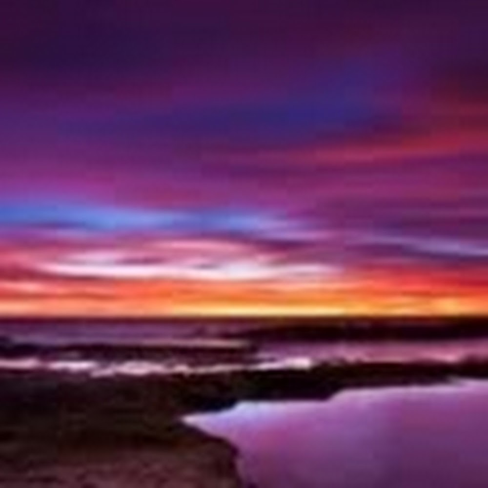 Meet your Posher, Ava