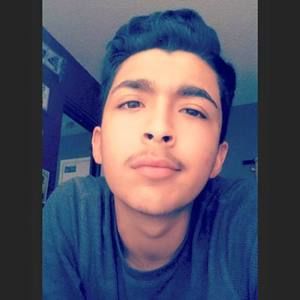 Meet your Posher, Bruno