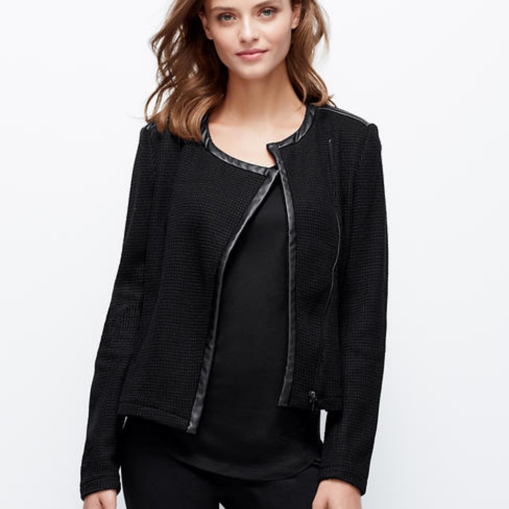 Petite Knit Moto Jacket