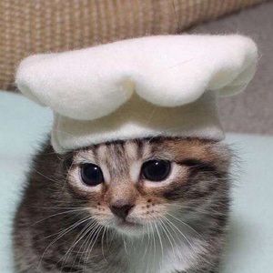 Meet your Posher, Alexander