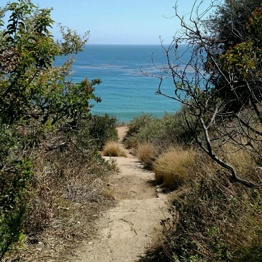 Meet your Posher, Sokoya