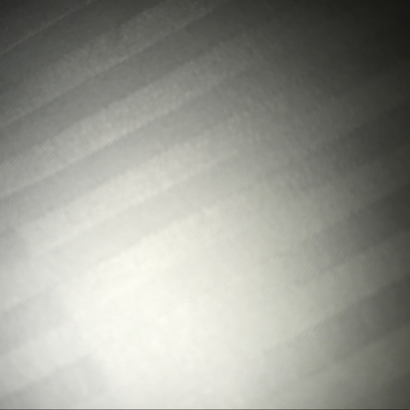 Meet your Posher, Sandy - Picture 1 of 1