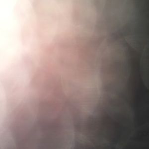 Meet your Posher, Sofia