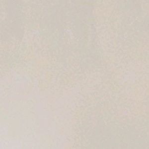 Meet your Posher, Aisha