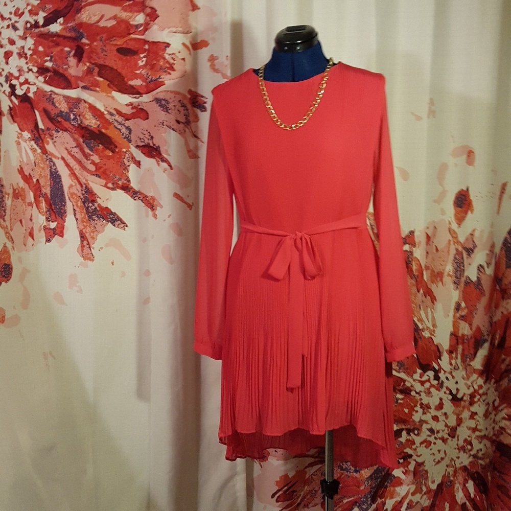 Feminine and Flirty Dress/Tunic