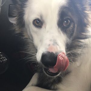 Meet your Posher, Jordan