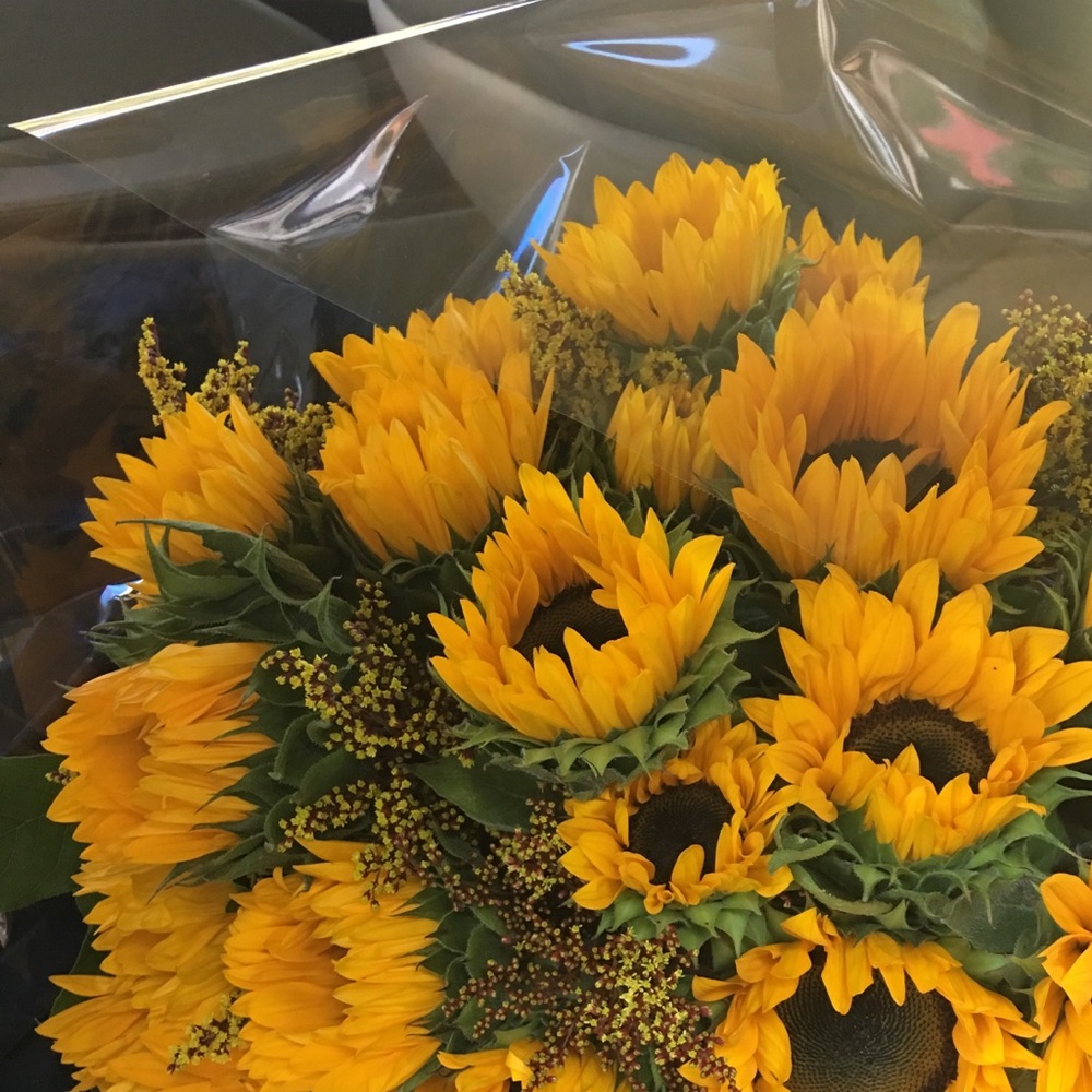 Meet your Posher, Ko