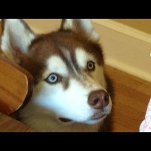 Meet your Posher, Sue