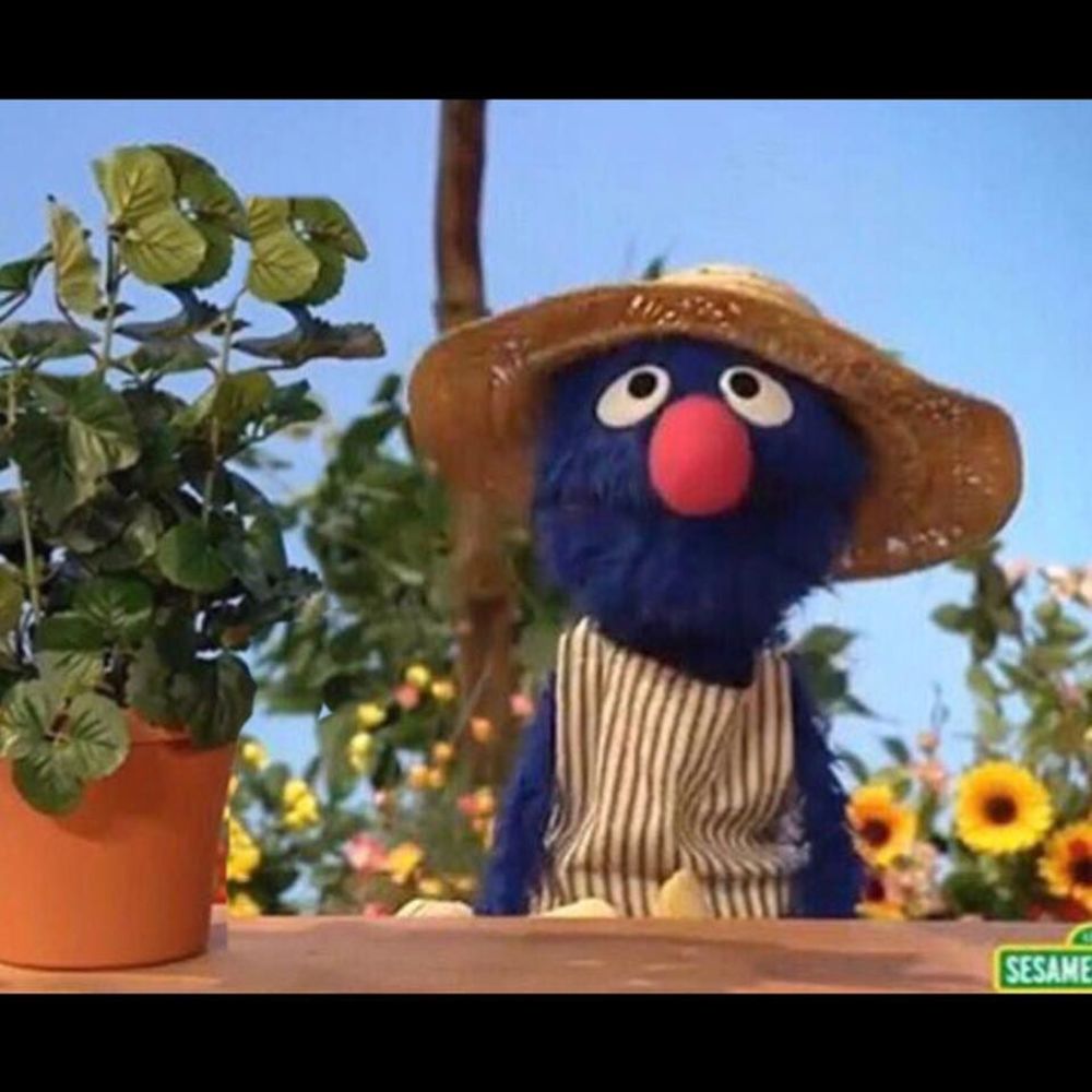 Meet your Posher, Jennie