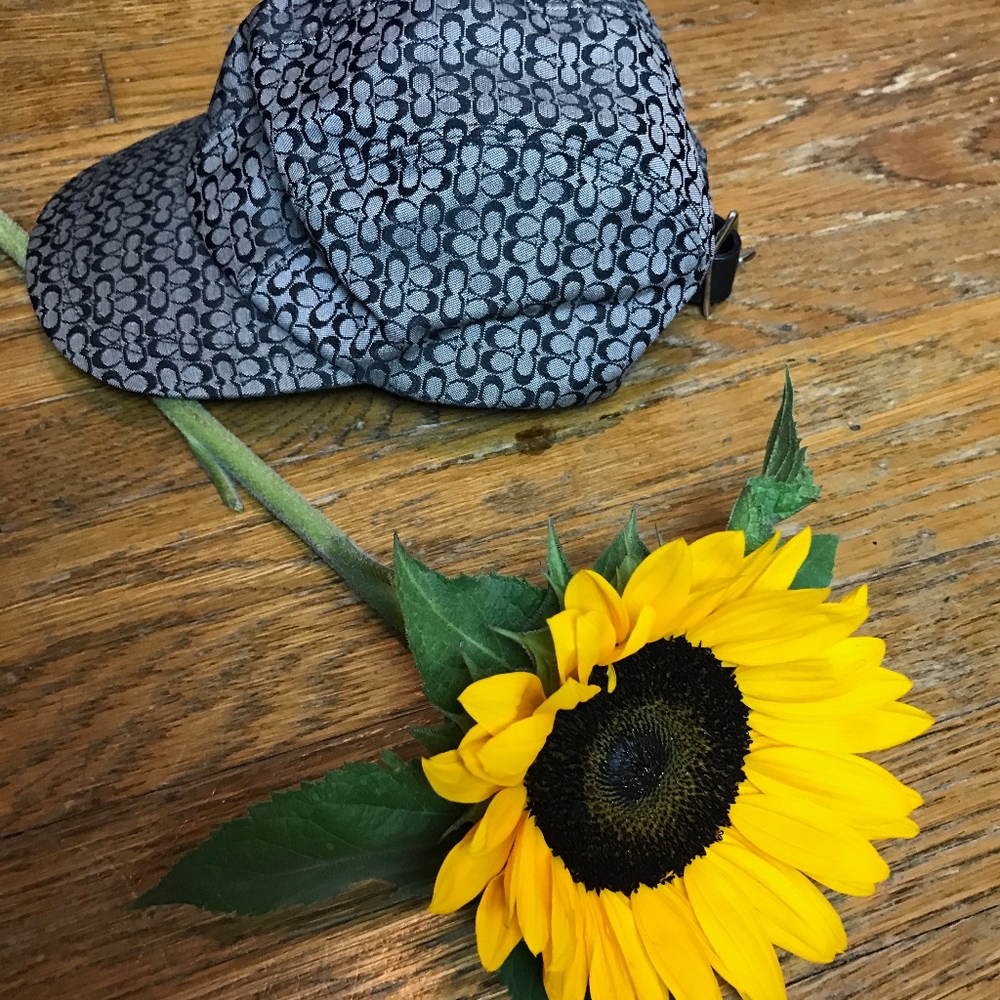 Coach Cap - Picture 4 of 6