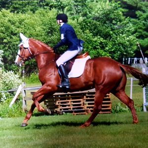 Meet your Posher, Beth