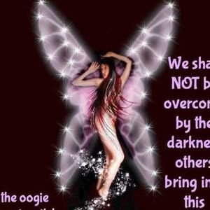 Meet your Posher, Darlene