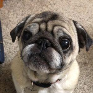 Meet your Posher, Mari