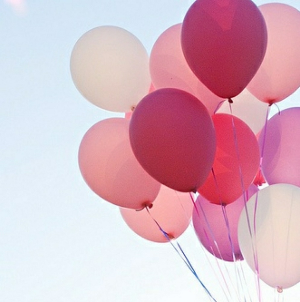 Posh Ambassador 💖