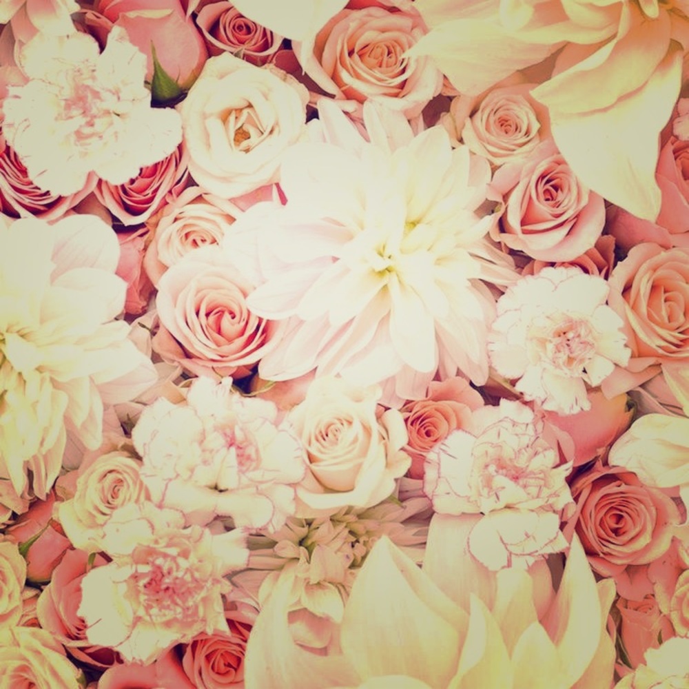 COMING SOON!! STAY TUNED!!