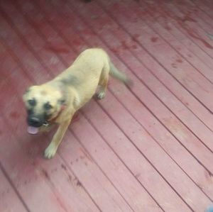 Meet your Posher, Francisco